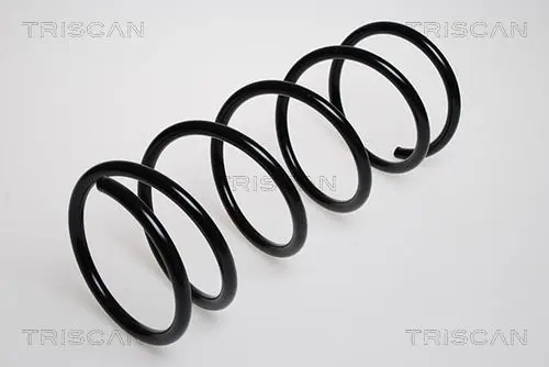 Handler.Part Coil spring TRISCAN 87501691 1