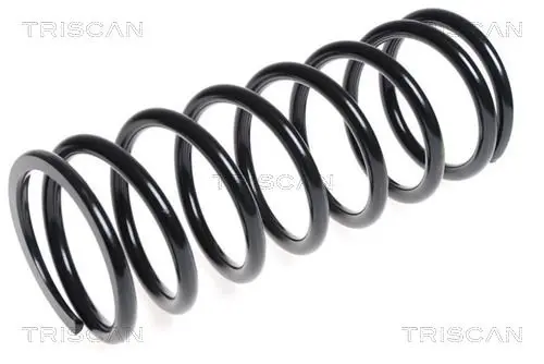 Handler.Part Coil spring TRISCAN 87501734 1