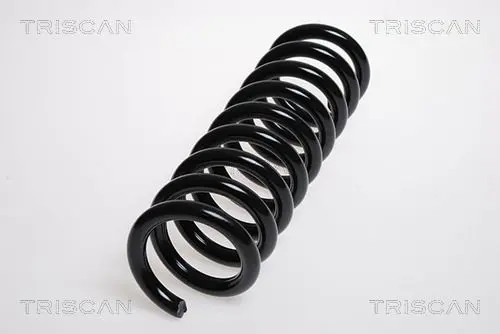 Handler.Part Coil spring TRISCAN 875023120 1