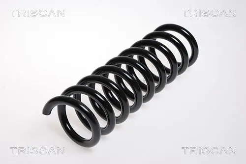 Handler.Part Coil spring TRISCAN 87502365 1