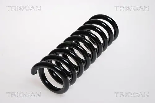 Handler.Part Coil spring TRISCAN 87502369 1