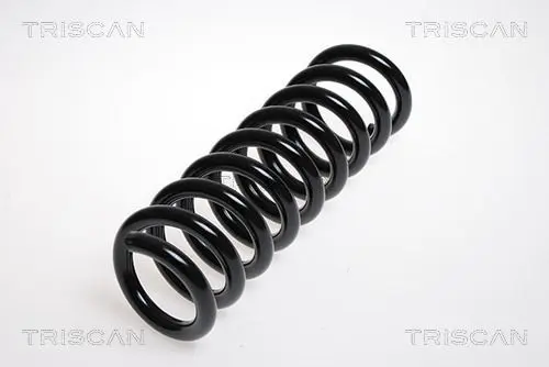 Handler.Part Coil spring TRISCAN 87502384 1