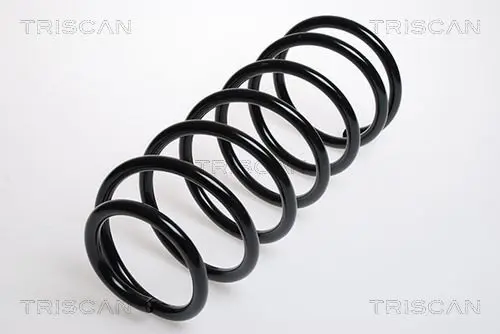 Handler.Part Coil spring TRISCAN 875024003 1