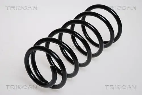 Handler.Part Coil spring TRISCAN 875024014 1