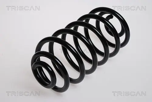 Handler.Part Coil spring TRISCAN 875024027 1