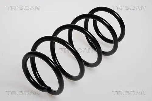 Handler.Part Coil spring TRISCAN 875024028 1