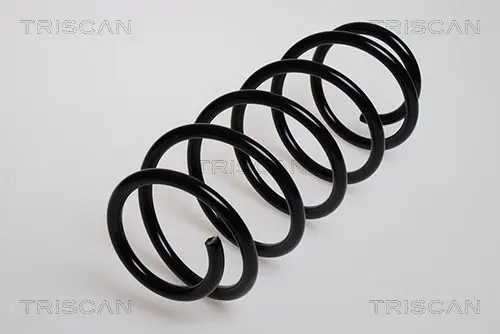 Handler.Part Coil spring TRISCAN 875024037 1