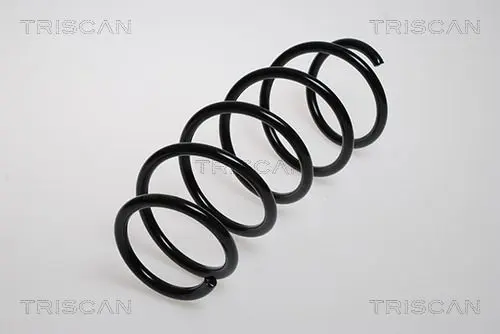 Handler.Part Coil spring TRISCAN 875024048 1