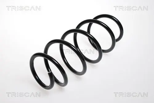 Handler.Part Coil spring TRISCAN 875024070 1