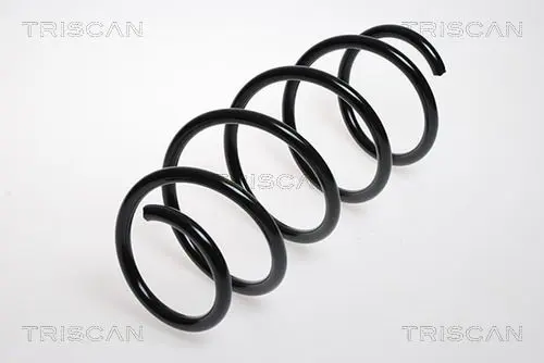 Handler.Part Coil spring TRISCAN 875024071 1