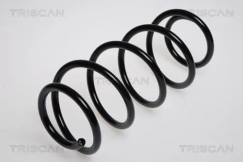 Handler.Part Coil spring TRISCAN 875024102 1