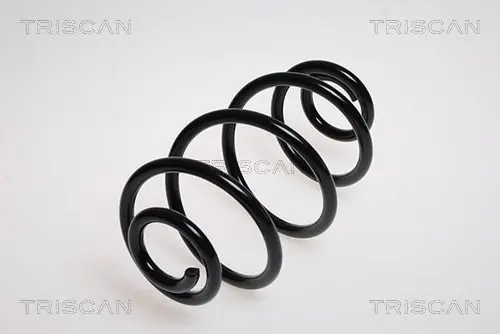 Handler.Part Coil spring TRISCAN 875024111 1