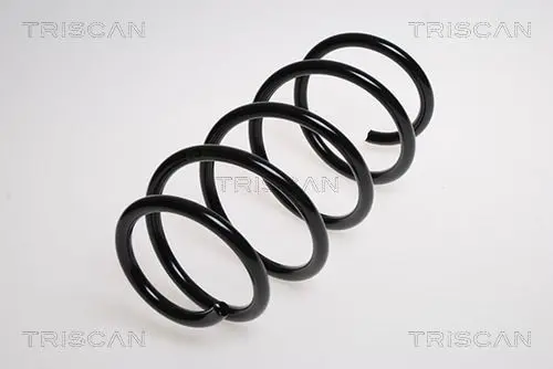 Handler.Part Coil spring TRISCAN 875024123 1