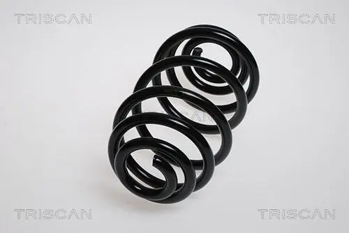 Handler.Part Coil spring TRISCAN 875024141 1