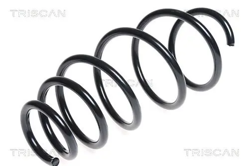 Handler.Part Coil spring TRISCAN 875024153 1