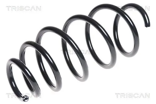 Handler.Part Coil spring TRISCAN 875024160 1