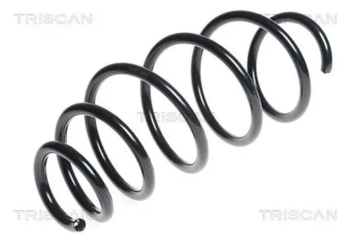 Handler.Part Coil spring TRISCAN 875024161 1