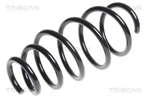 Handler.Part Coil spring TRISCAN 875024176 1