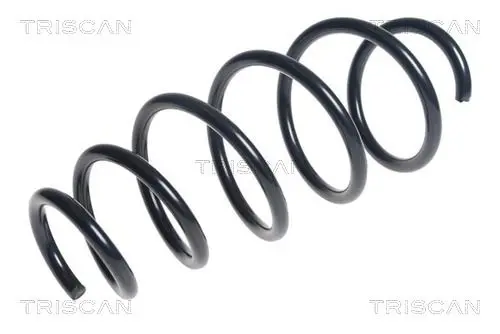 Handler.Part Coil spring TRISCAN 875024182 1