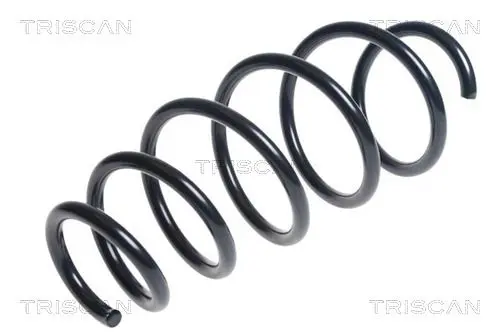 Handler.Part Coil spring TRISCAN 875024183 1