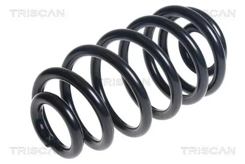 Handler.Part Coil spring TRISCAN 875024188 1