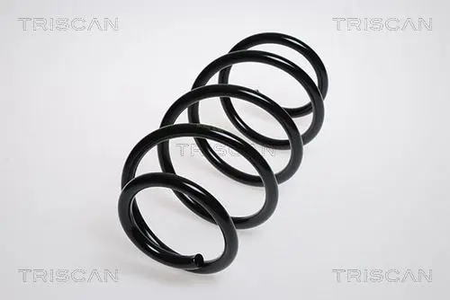 Handler.Part Coil spring TRISCAN 875024191 1