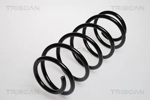 Handler.Part Coil spring TRISCAN 87502479 1