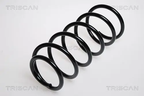 Handler.Part Coil spring TRISCAN 87502487 1