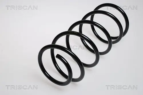 Handler.Part Coil spring TRISCAN 87502489 1