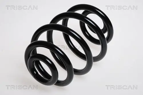 Handler.Part Coil spring TRISCAN 87502495 1