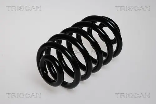 Handler.Part Coil spring TRISCAN 87502497 1