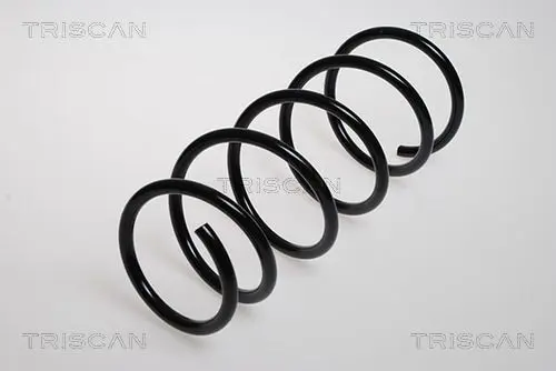 Handler.Part Coil spring TRISCAN 875025102 1