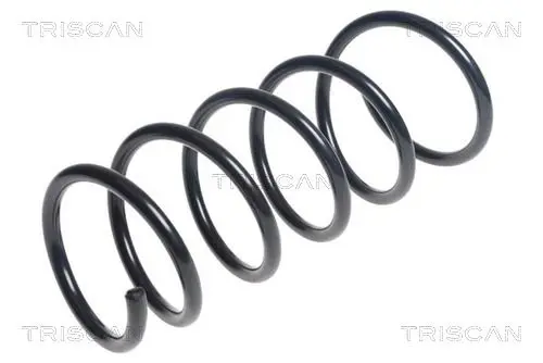 Handler.Part Coil spring TRISCAN 875025111 1