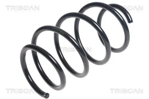 Handler.Part Coil spring TRISCAN 875025120 1