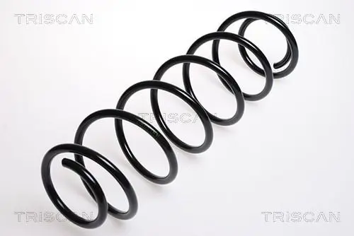 Handler.Part Coil spring TRISCAN 87502531 1