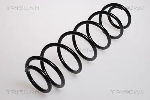 Handler.Part Coil spring TRISCAN 87502533 1