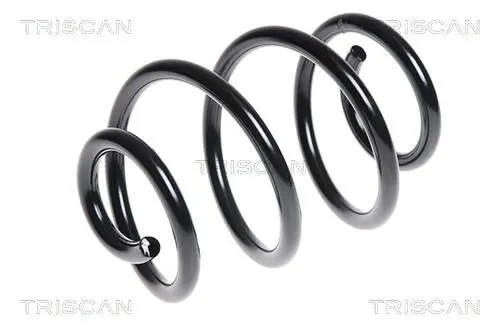 Handler.Part Coil spring TRISCAN 87502584 1