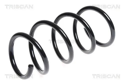 Handler.Part Coil spring TRISCAN 87502587 1