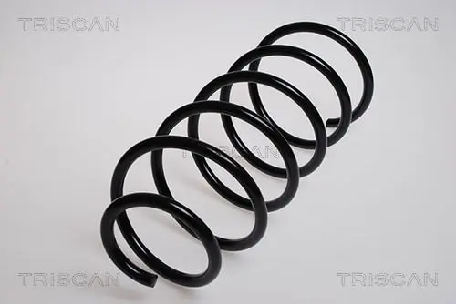 Handler.Part Coil spring TRISCAN 87502757 1