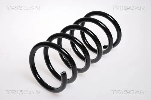 Handler.Part Coil spring TRISCAN 87502760 1