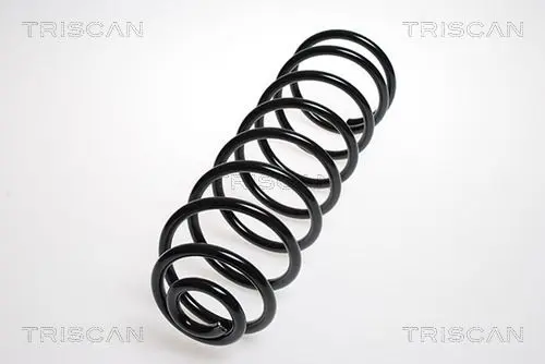 Handler.Part Coil spring TRISCAN 87502768 1