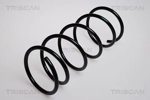 Handler.Part Coil spring TRISCAN 875028100 1