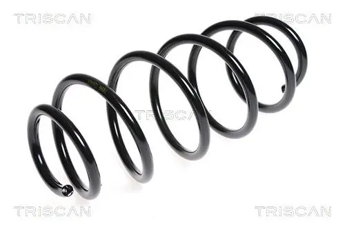 Handler.Part Coil spring TRISCAN 875028140 1