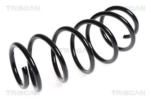 Handler.Part Coil spring TRISCAN 875028143 1