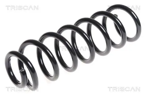 Handler.Part Coil spring TRISCAN 875028193 1