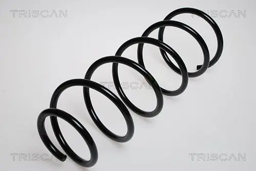 Handler.Part Coil spring TRISCAN 87502839 1