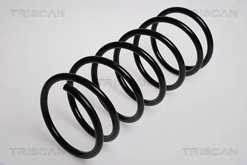 Handler.Part Coil spring TRISCAN 87502842 1