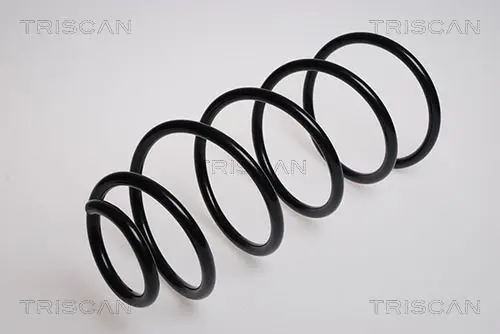 Handler.Part Coil spring TRISCAN 87502875 1