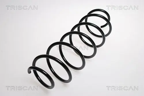 Handler.Part Coil spring TRISCAN 87502896 1