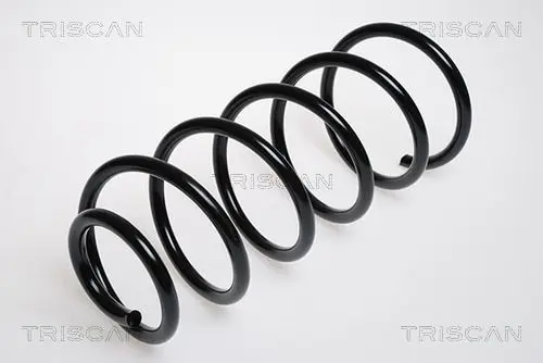 Handler.Part Coil spring TRISCAN 875029012 1